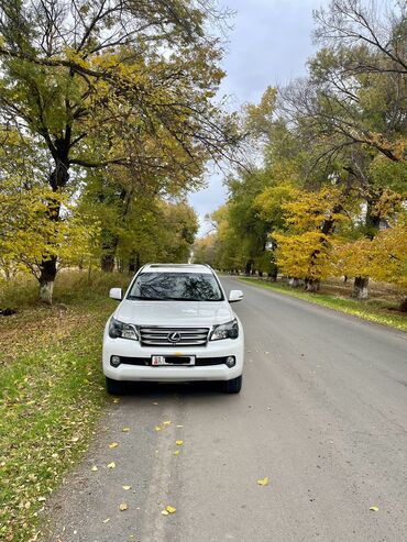 Lexus: Lexus GX: 2010 г., 4.6 л, Автомат, Газ, Внедорожник