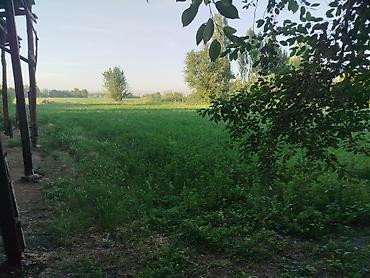 Продажа участков: 15 соток, Для строительства at lalafo.kg — 10 Продажа участков: 15 соток, Для строительства — 10