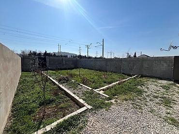 ford transit 8 plus 1: 3 otaqlı, 3 kv. m, Kredit yoxdur — 2