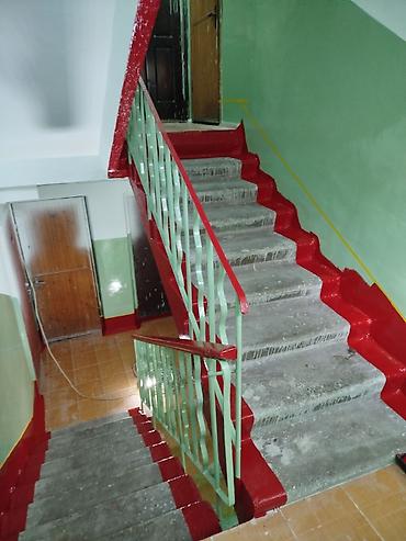 Покраска: Покраска подъездов и лестничных клеток под ключ Касметика Крыши — 33