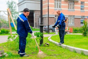 ковры бишкек дордой: Тырмоолор
