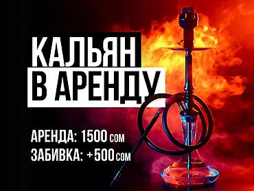 калян продажа: WhatsApp: Кальян в аренду. Условия и опции: 💨 Аренда кальяна — 1 — 1
