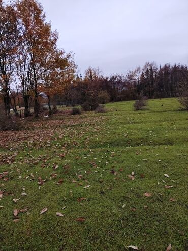 Torpaq sahələrinin satışı: 18 sot, Kənd təsərrüfatı, Mülkiyyətçi, Bələdiyyə — 2