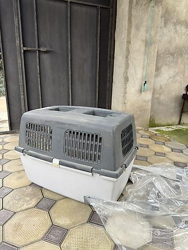 heyvan daşıma çantası: Heyvan daşıma konteyneri (pet carrier) - Material: möhkəm plastik — 3