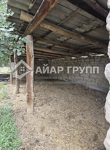 кафе ош: 30 соток, Курулуш — 4