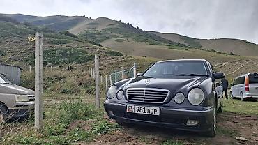 Унаа: Mercedes-Benz E-Class: 2000 г., 2 л, Автомат, Дизель, Седан — 6