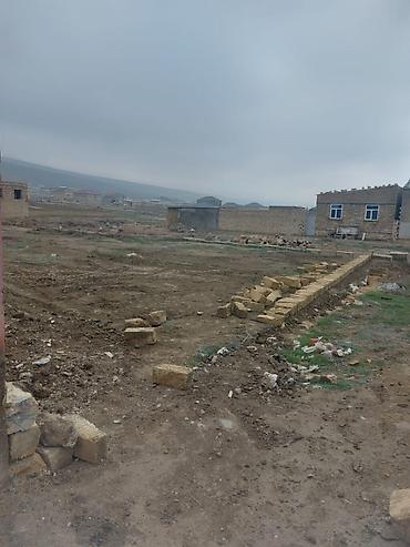 Torpaq: 8 sot, Tikinti, Maklerlər narahat etməsin, Kupça (Çıxarış) — 7