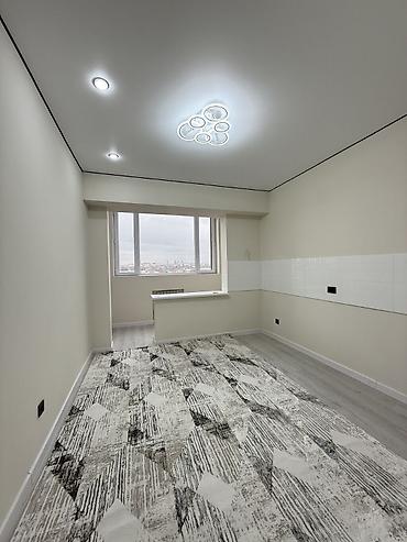 ско: 1 комната, 48 м², Пишпек Элитка, 5 этаж, Евроремонт — 4