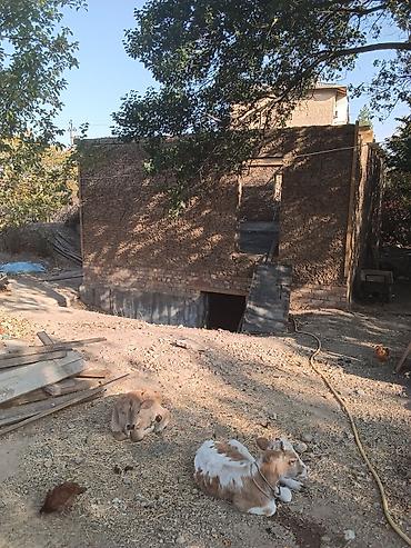дом участок село мыкан: 4 соток, Для строительства, Договор купли-продажи — 3