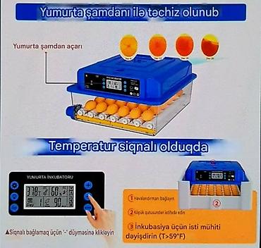 Зоотовары: Tam avtomatik inkubator / su və yem qabı daxil./Göy-1əd.yaşıl 1əd — 7