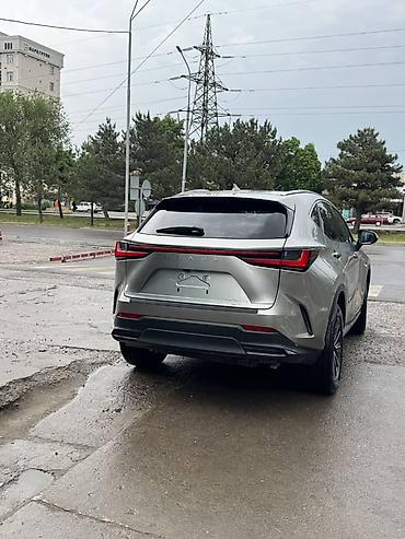 старт нак: Lexus NX: 2023 г., 2.5 л, Автомат, Гибрид, Кроссовер — 3