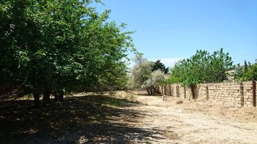 Torpaq sahələrinin satışı: 25 sot, Tikinti, Makler, Kupça (Çıxarış) -da lalafo.az — 10 Torpaq sahələrinin satışı: 25 sot, Tikinti, Makler, Kupça (Çıxarış) — 10