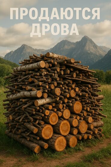 Другие услуги: Дрова