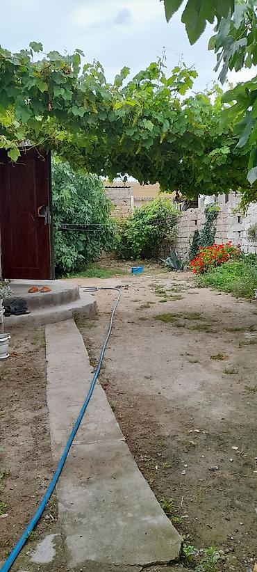 bine sovxoz: Buzovna qəsəbəsində həyət evi satılır. Torpağın və evin kupçası var — 6