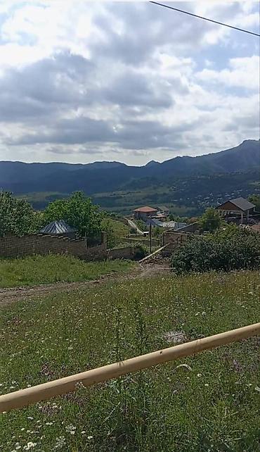 hovsan torpaq: 12 sot, Tikinti, Mülkiyyətçi, Kupça (Çıxarış) — 2