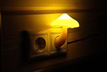 светильник на стол: Гриб из розетки. Автоматический ночник с датчиком освещенности