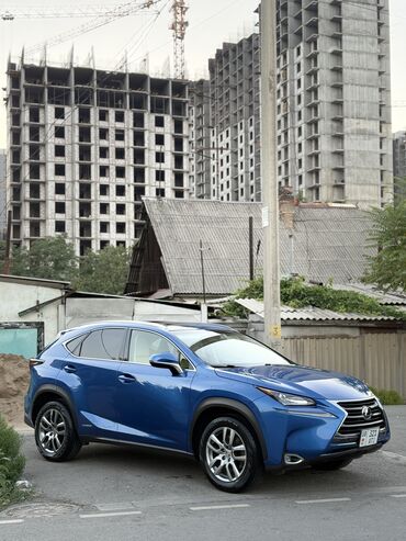 люк на лексус: Lexus NX: 2016 г., 2.5 л, Вариатор, Гибрид, Кроссовер