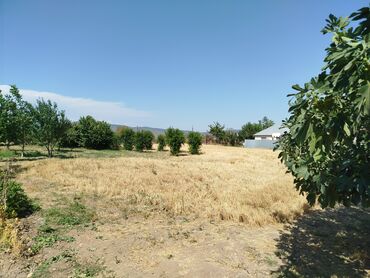 kiraye evler neftciler qarayev: 3 otaqlı, 100 kv. m, Təmirsiz