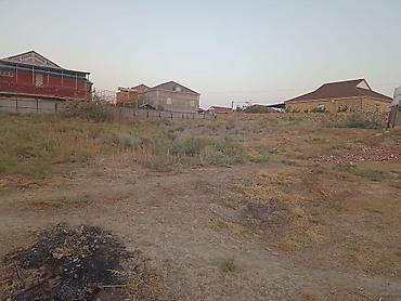 nasosnu torpaq: Tikinti, Mülkiyyətçi, Kupça (Çıxarış) — 1