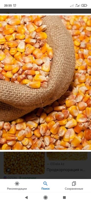 продаю кукуруз: Кукуруза по 16 сом