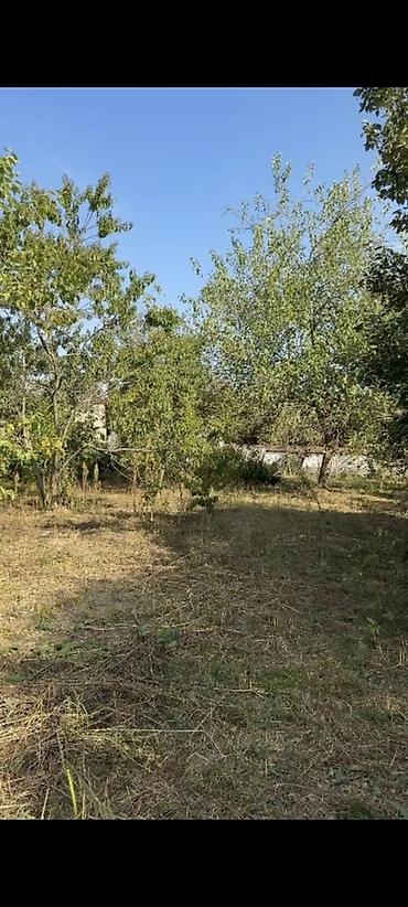 kohne ev: 21 sot, Tikinti, Mülkiyyətçi, Kupça (Çıxarış) — 2