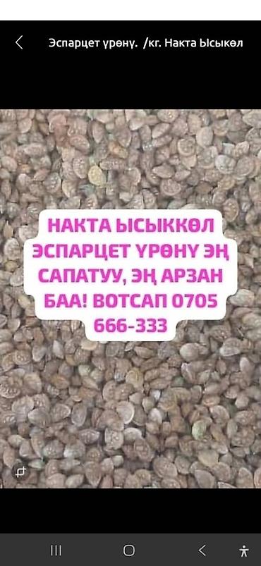 Семена эспарцета (Onobrychis). - Происхождение: Иссык-Куль. -