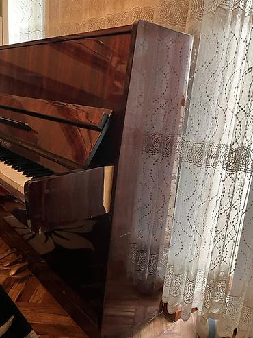gitara akustik: Piano, Belarus, Akustik, İşlənmiş — 4