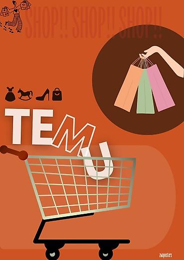 basqa: Temu və Trendyol sifarişlərinin olunması və Gömrük Bəyannaməsi — 2