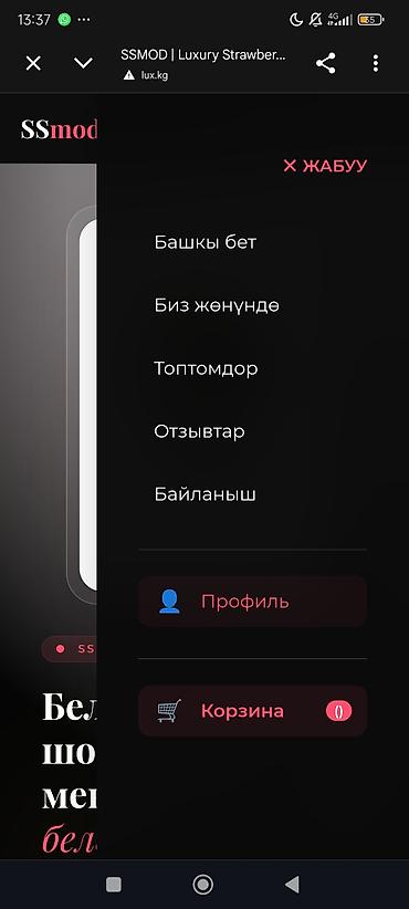 lcd tv: Даяр сайт сатылат – кулпунай, гүл, таттуу сатуу үчүн онлайн-дүкөн — 2