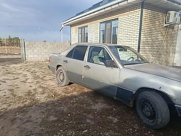 мерс дипламат: Mercedes-Benz W124: 1989 г., 2.3 л, Бензин, Седан — 2