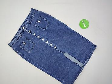 spodnice mini plisowane: Spódnica damska, rozmiar 2XL — 2