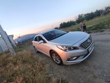 саната 2014: Hyundai Sonata: 2014 г., 2 л, Автомат, Газ, Седан