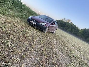 авто фышка: Ford Focus: 2005 г., Механика, Бензин, Хэтчбэк — 4