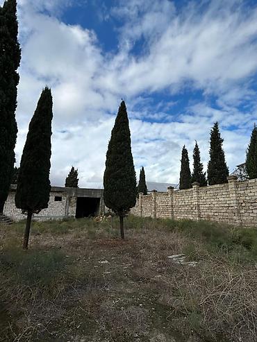 Torpaq sahələrinin satışı: 24 sot, Tikinti, Mülkiyyətçi, Kupça (Çıxarış) — 7