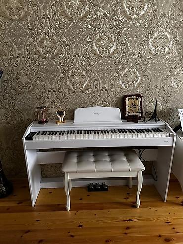 Allegro rəqəmsal piano – ev və studiya üçün uyğun klaviatura seti. -