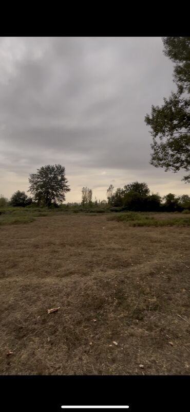 Torpaq sahələrinin satışı: 10 sot, Kupça (Çıxarış) — 5