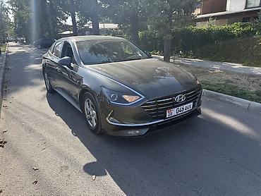 byd han: Hyundai Sonata: 2020 г., 2 л, Автомат, Газ, Седан — 2