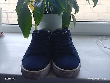 обувь лоферы: Мужские кроссовки, 38.5, 38, Puma, Новый, цвет - Синий, Самовывоз — 2