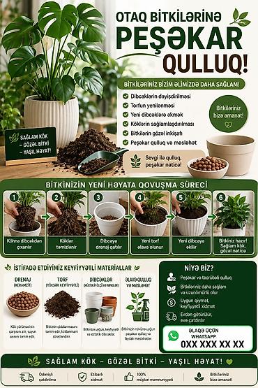 otaq arakesmeleri: 🌿 OTAQ BİTKİLƏRİNƏ PEŞƏKAR QULLUQ XİDMƏTİ 🪴 Gülləriniz zəifləyib — 1
