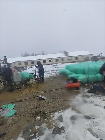 токмок кошка: Силос хорошего качества 6.5сом в бабинах село Александровка — 10