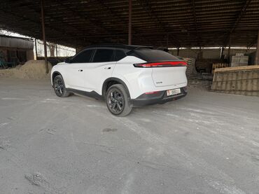 Dongfeng: Dongfeng : 2024 г., 0.1 л, Робот, Электромобиль, Кроссовер — 4