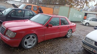 Mercedes-Benz: Mercedes-Benz W124: 1995 г., 3.2 л, Механика, Бензин