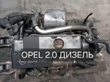 ресор на портер: Дизельный мотор Opel 2001 г., 2 л, Б/у, Оригинал, Германия