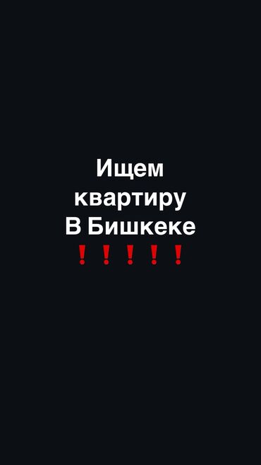 аренда квартир в аламедин 1: 1 бөлмө, Менчик ээси, Чогуу жашоосу жок