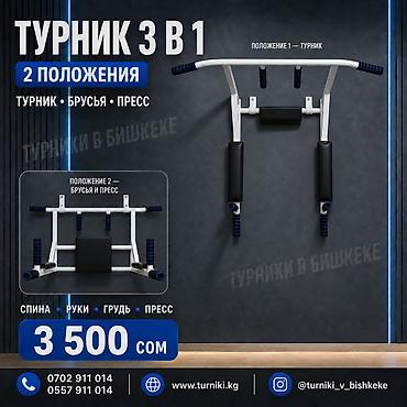 абонемент: Турник, 3 в 1, Настенный, Новый, Платная доставка — 1