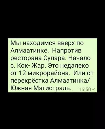Хомяки: Переносные домики-клетки для хомяков/мелких грызунов - Компактные — 10