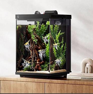 аквариум xiaomi: Умный аквариум "Xiaomi" Mijia Desktop Smart Fish Tank 10L — 3