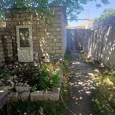 nzs de satilan heyet evleri: 2 otaqlı, 80 kv. m, Kredit yoxdur, Təmirsiz — 3