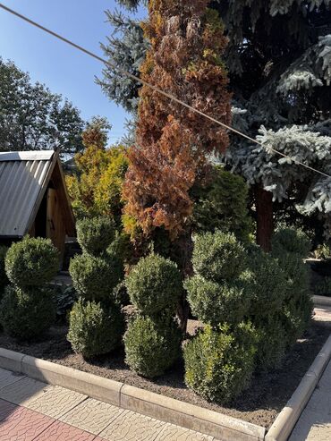 Продажа домов: Дом, 85 м², 4 комнаты, Собственник, Косметический ремонт — 11