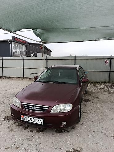 Продажа авто: Kia Spectra: 2008 г., 1.6 л, Механика, Газ, Седан — 7